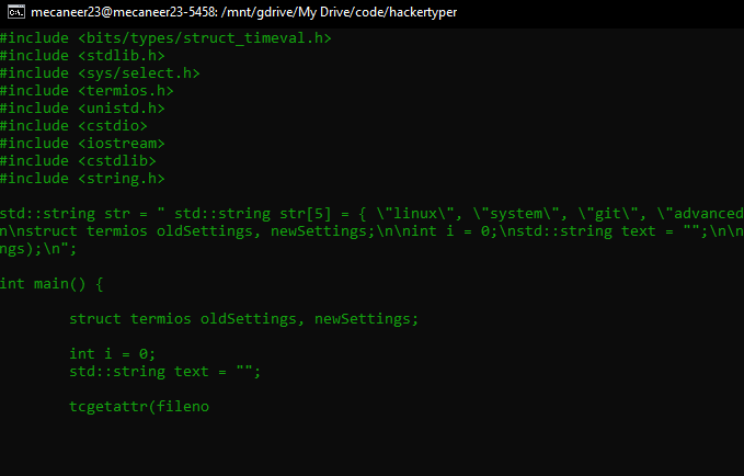 Screenshot of hackertyper game